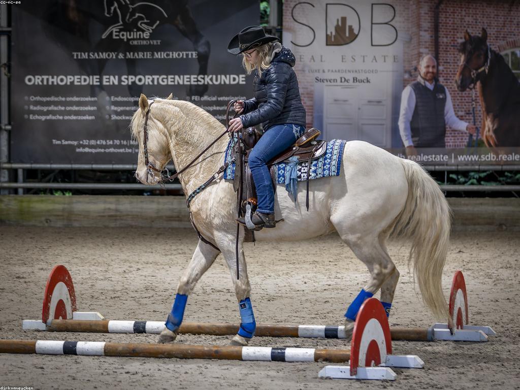 យុទ្ធសាស្ត្រការលេង: ការបង្កើតបទពិសោធន៍លេងអស្ចារ្យ