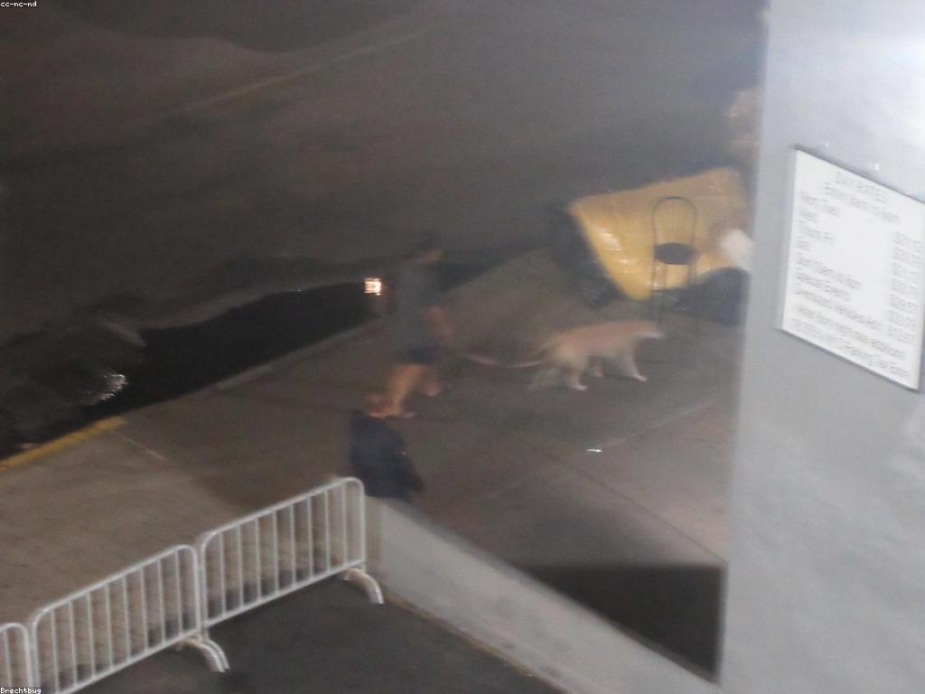 យុទ្ធសាស្ត្រការលេង: ការសម្រេចគោលដៅជោគជ័យ