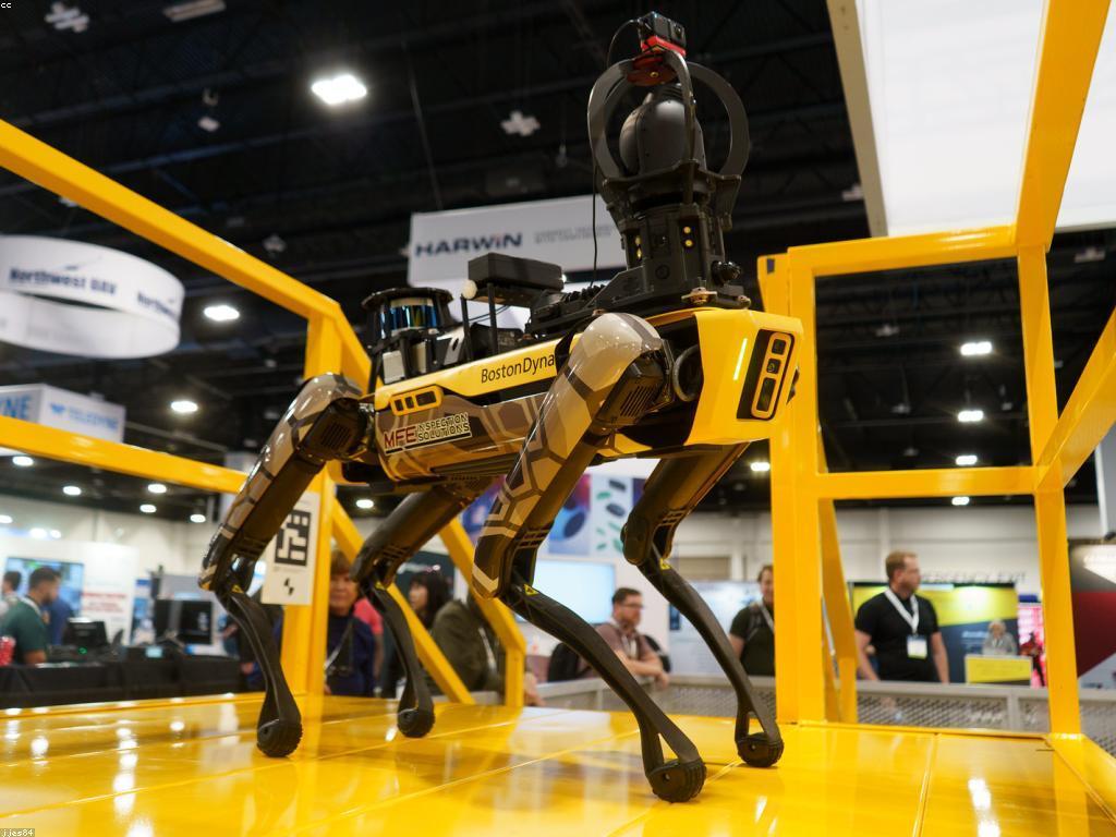 ការប្រកួតជំនាញ: គន្លឹះសម្រាប់ជោគជ័យ