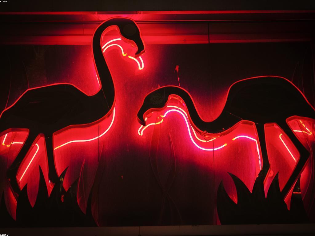 តំលៃថ្មីនៅក្នុងការបង្ហោះកាស៊ីណូ